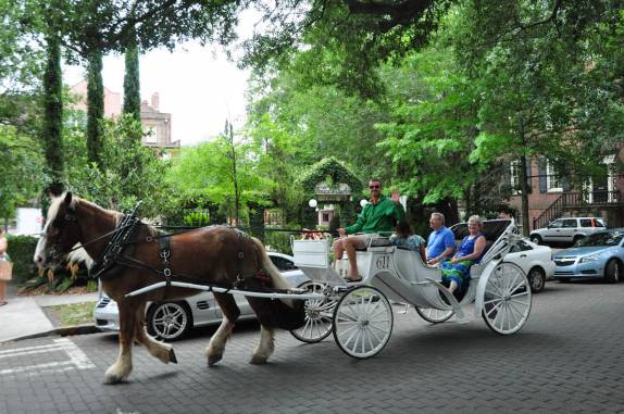 Carruagens para turistas em Savannah, na Georgia - EUA